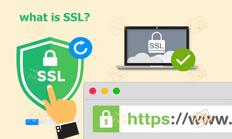 گواهی SSL